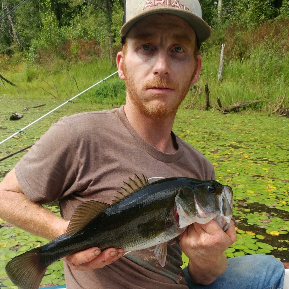 Meet your Posher, Joshua